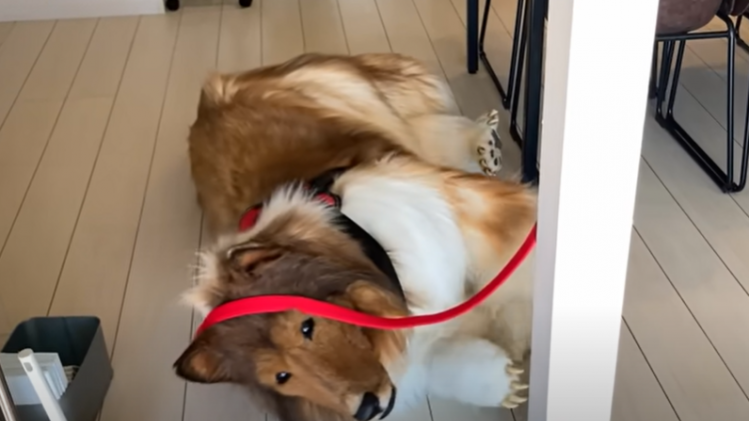 Capture d’écran 2023-08-02 132110