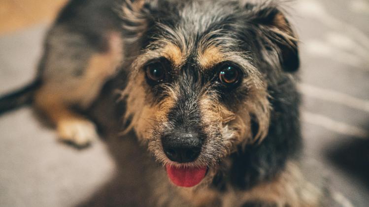 paul-cuoco-7rWqLPlCj_E-unsplash