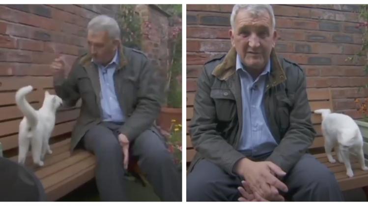 BeFunky-collage (11)