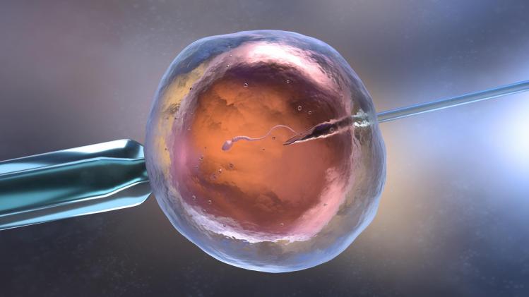 gettyimages_120.6a564145456.original