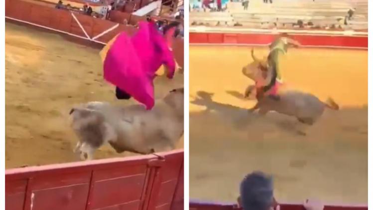 BeFunky-collage - 2023-08-16T142852.260