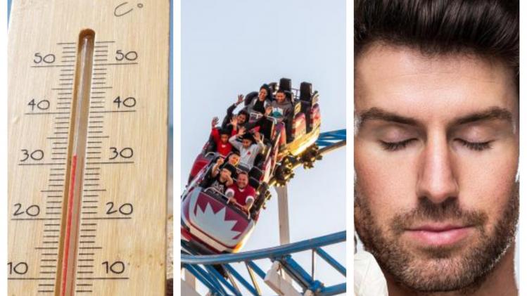 BeFunky-collage - 2023-08-18T084939.182