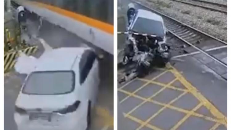 BeFunky-collage - 2023-08-22T133548.533