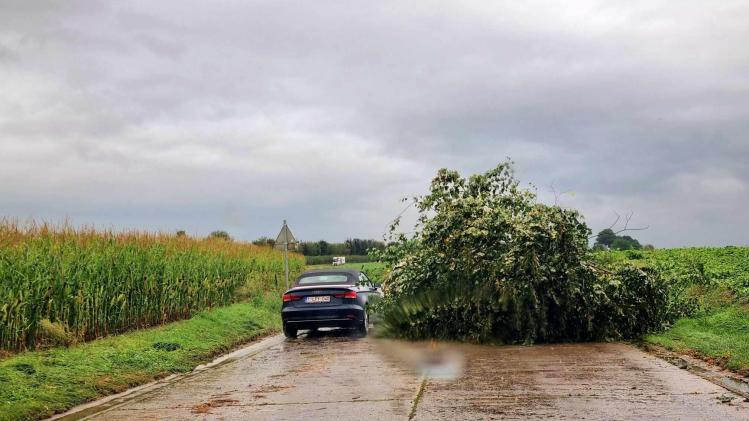 369225990_774065038059842_6713597559461747353_n