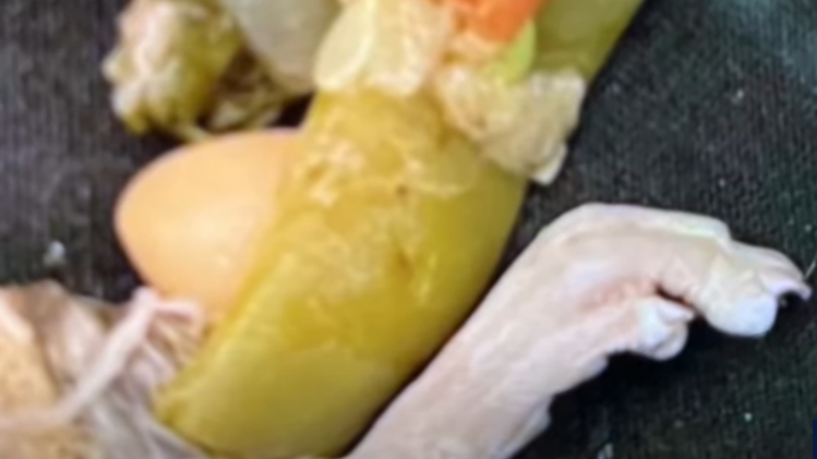 Capture d’écran 2023-08-25 115339