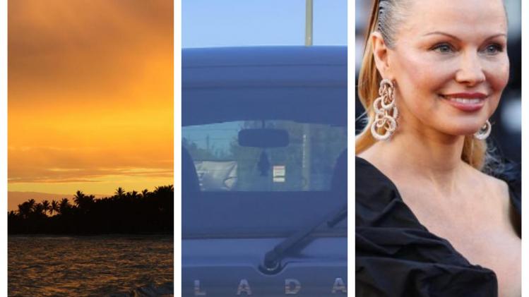 BeFunky-collage - 2023-09-08T154335.992