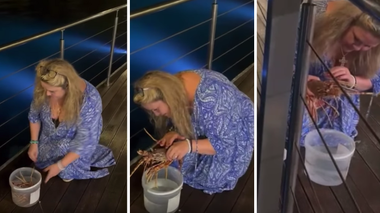Une femme achète une langouste pour 200 euros avant de la relâcher dans l’océan