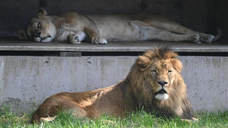 364748564_692982986207259_5451659475145364022_n