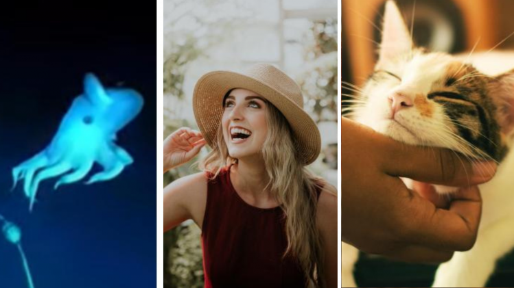 Une découverte rarissime, l’arrivée du masterdating et gros changements pour vos animaux: voici l’actu de ce 30 septembre