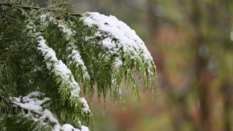 B9733027223Z.1_20221223144809_000+G34LTPUHE.1-0