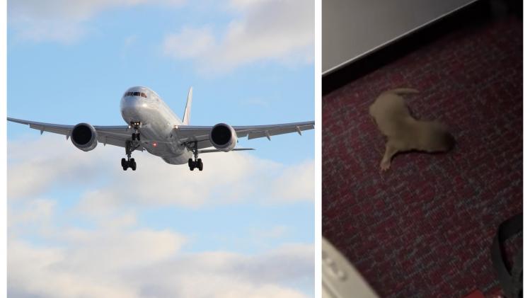 BeFunky-collage - 2023-10-06T110048.426