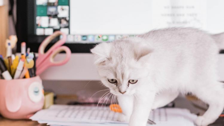 sincerely-media-O9K5vvTurCY-unsplash