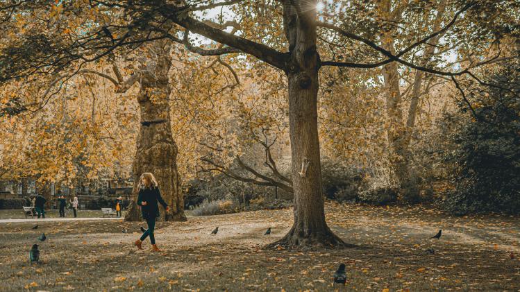 alexandre-debieve-09YenjrFhQs-unsplash