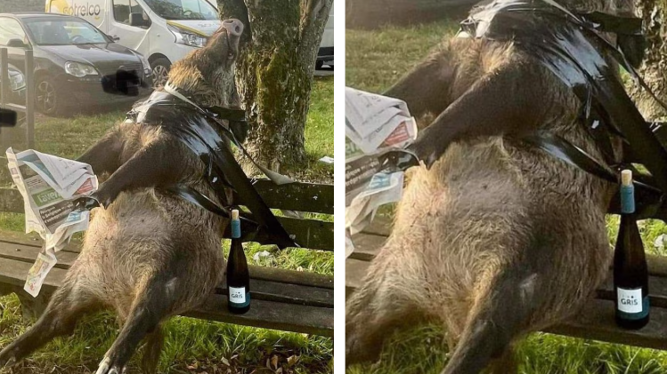 Baby born with 26 fingers and toes hailed as ‘reincarnation of Hindu goddess