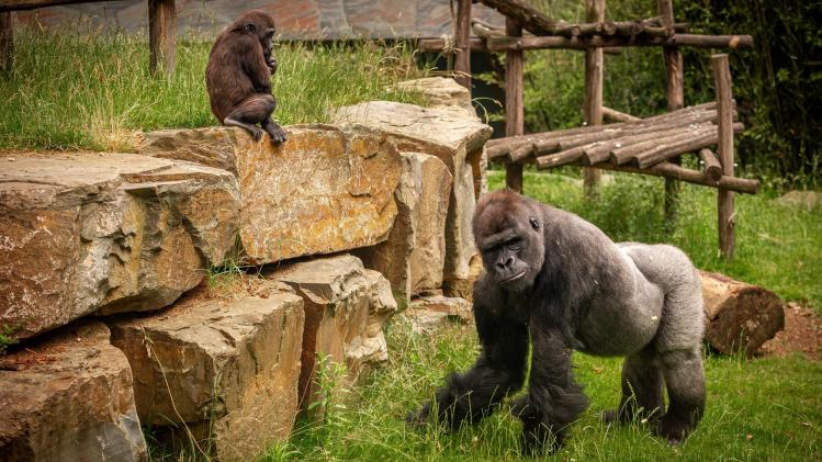 387775270_738743318283023_4360619448219717505_n