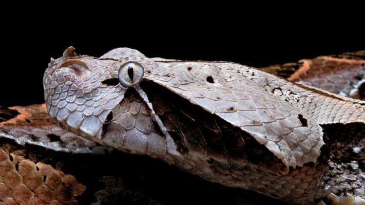 B9735269746Z.1_20231011183649_000+G06NK68LN.1-0