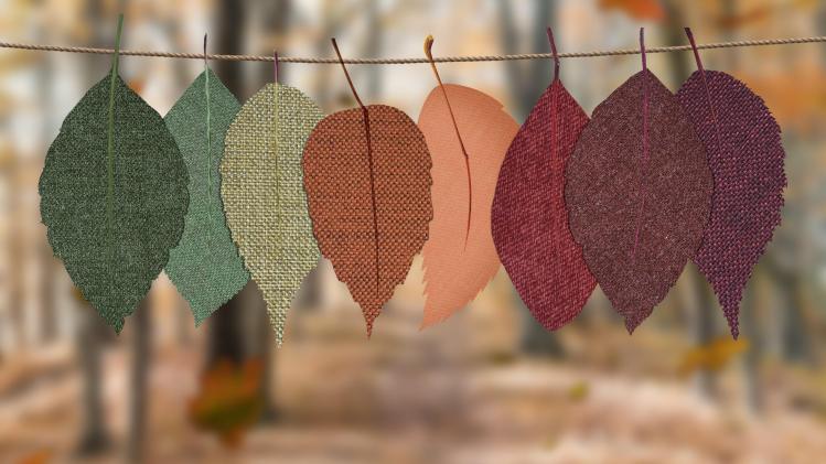 designecologist-sYI_WSHEsXU-unsplash