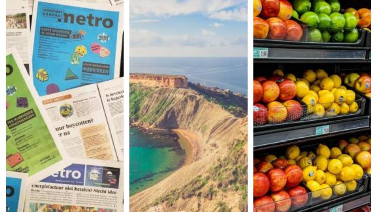 BeFunky-collage - 2023-10-23T162228.059