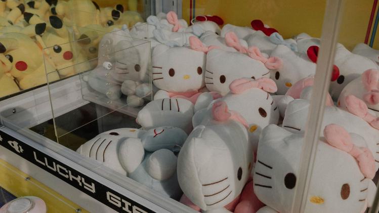 pexels-elina-volkova-18403859