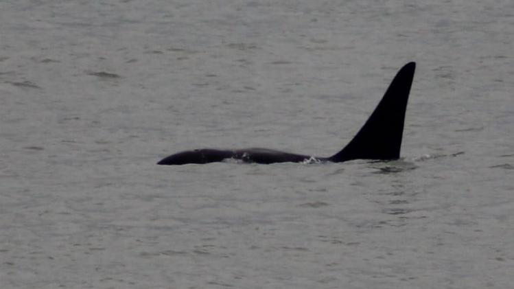 396213198_2105617213131166_7340681119158003953_n