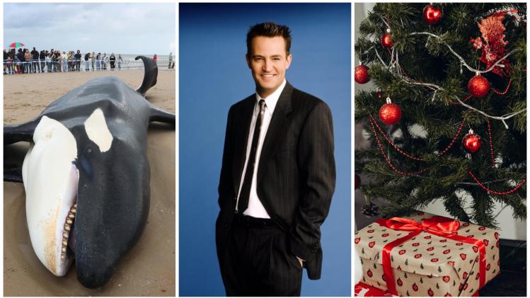 BeFunky-collage uk32 - 2023-10-29T173635.925