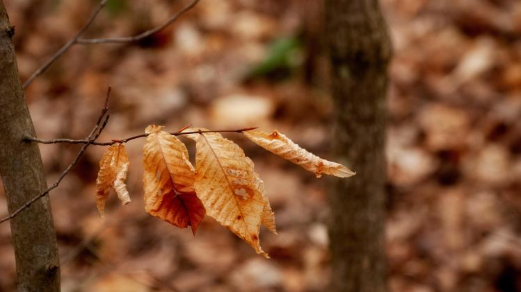 paul-wolke-v48I_mRAaoY-unsplash