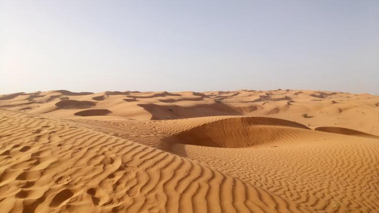 pexels-oksana-titova-6498182