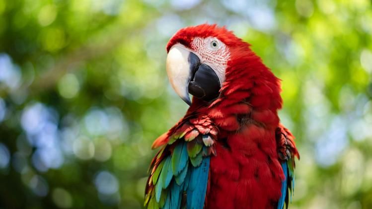 pexels-oleksandr-p-12969245