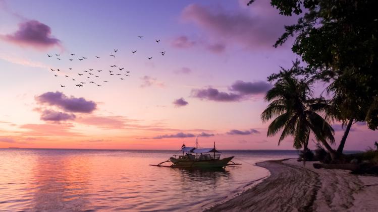 cris-tagupa-lT7zmkth3o8-unsplash