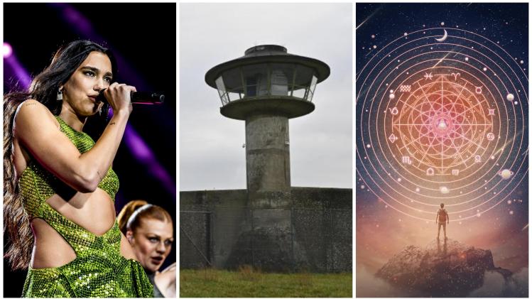 BeFunky-collage uk32 - 2023-11-13T175816.689