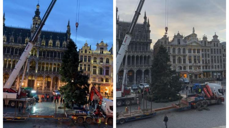 Bruxelles: 2 km de guirlandes pour le sapin de Noël de la Grand-Place