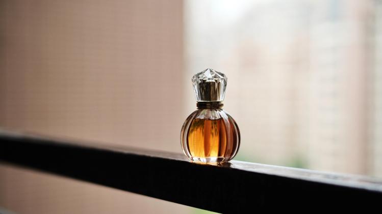 21-swan-3C5ZfCLSGC4-unsplash