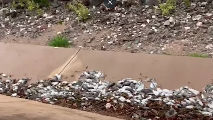 Capture d’écran 2023-11-27 112506