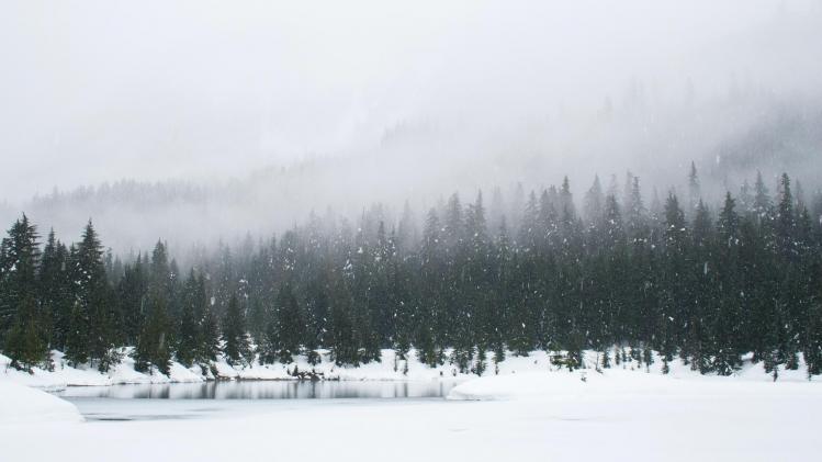 adam-chang-IWenq-4JHqo-unsplash