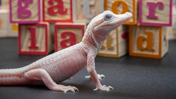 408635605_745734704265770_41501588974436cc08520_n