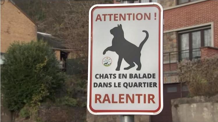 410025486_757557203066014_7908453531103849490_n