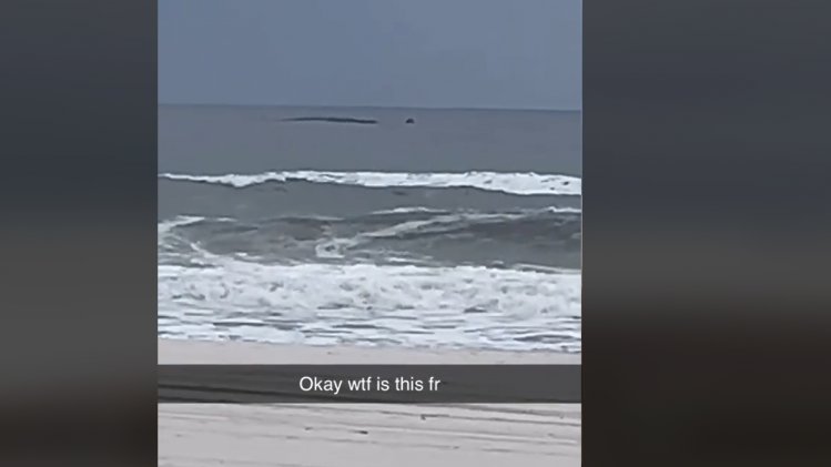 B9735636675Z.1_20231212181541_000+GE8NV4O1T.1-0