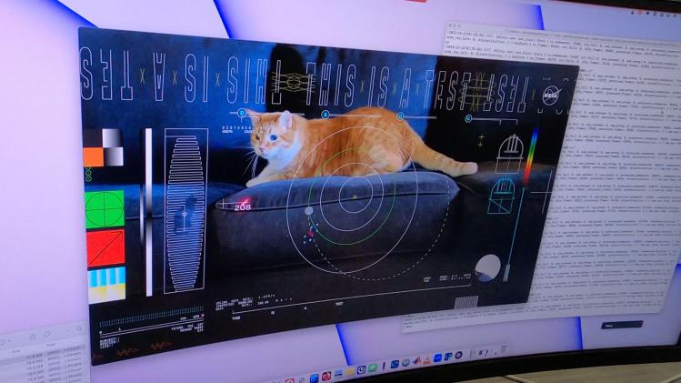 A_computer_in_the_mission_support_area_shows_Tater_the_cat_in_a_still_from_the_f