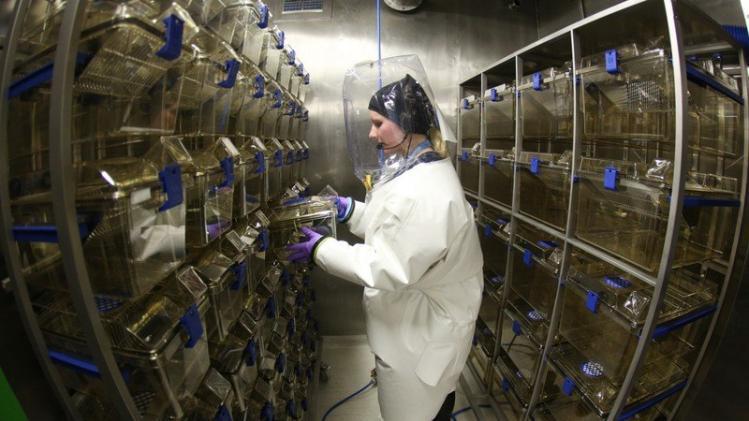 belgaimage-40801344-full