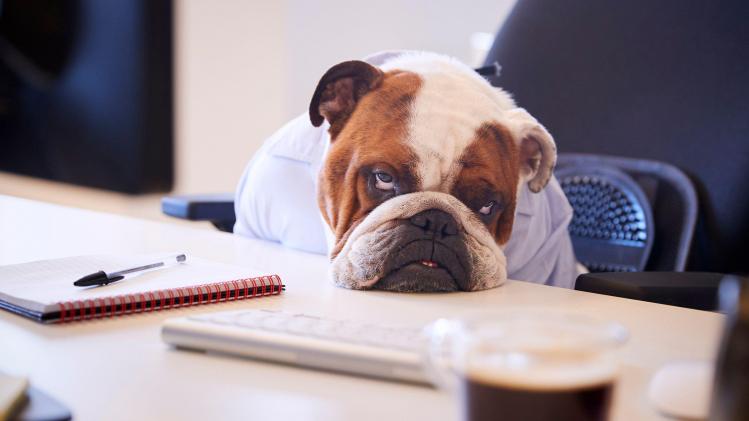 Voici les comportements les plus énervants au bureau (et que vous devez éviter donc!)