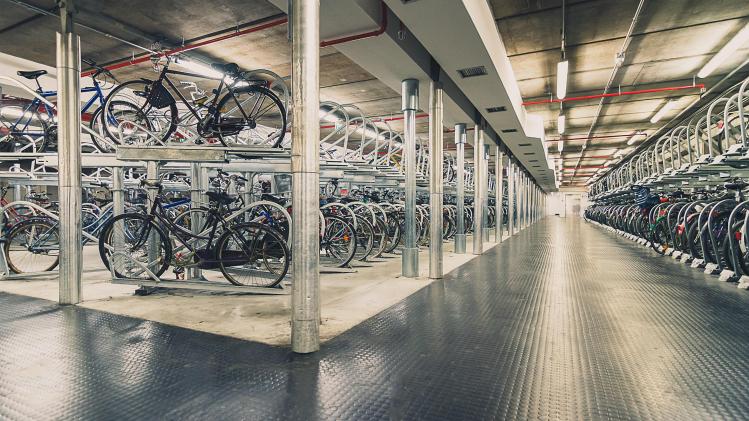 shutterstock_44.e3b13112928.original (1)