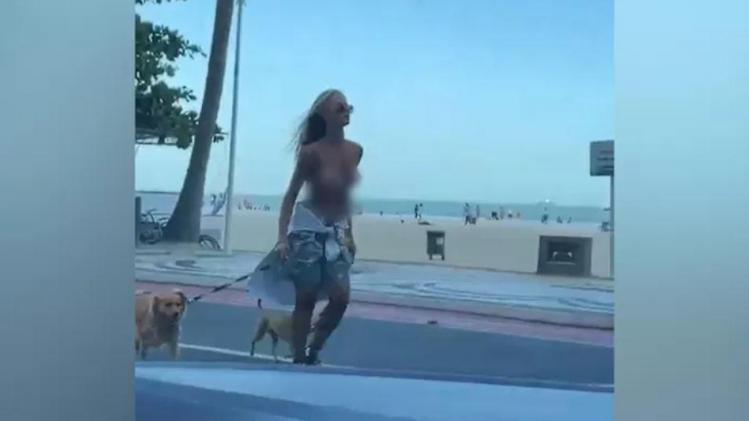 Arrêtée pour avoir promené ses chiens seins nus dans la rue: «Les hommes ne sont jamais condamnés pour ce genre de choses»