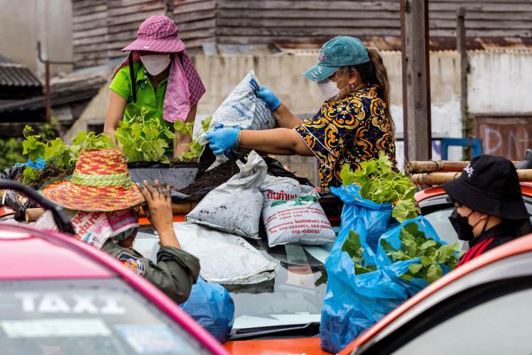 BELGAIMAGE-181525698