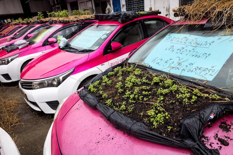 BELGAIMAGE-181525754