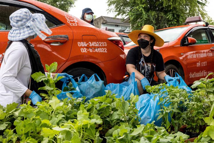 BELGAIMAGE-181525736