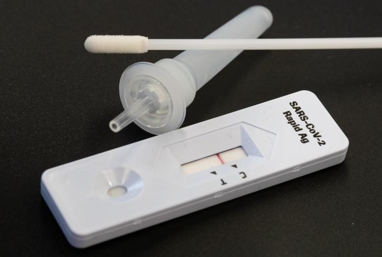 belgaimage-174986698-full