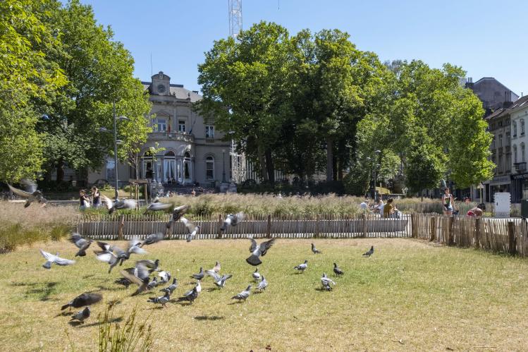 Place Fernand Cocq (2)