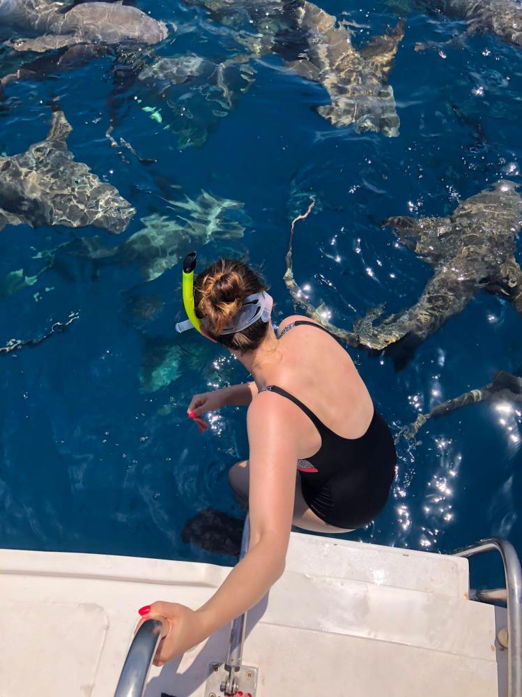 processed-b92c04a0-a9c1-4363-8612-21fc909f0f7d_MyluYvhF