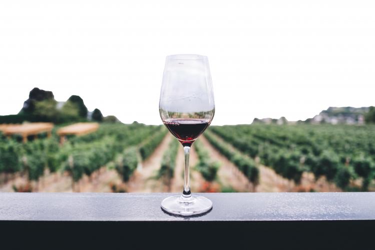 kym-ellis-aF1NPSnDQLw-unsplash copy