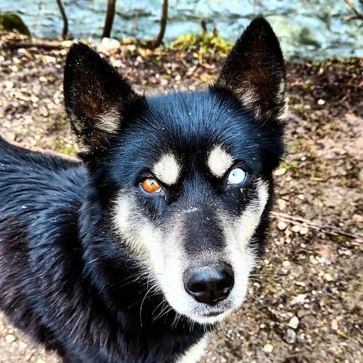 WhatsApp Image 2023-01-14 at 10.05.08